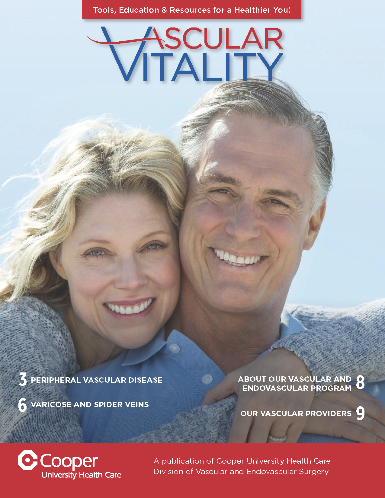 2020 Vascular Vitality Guide cover image