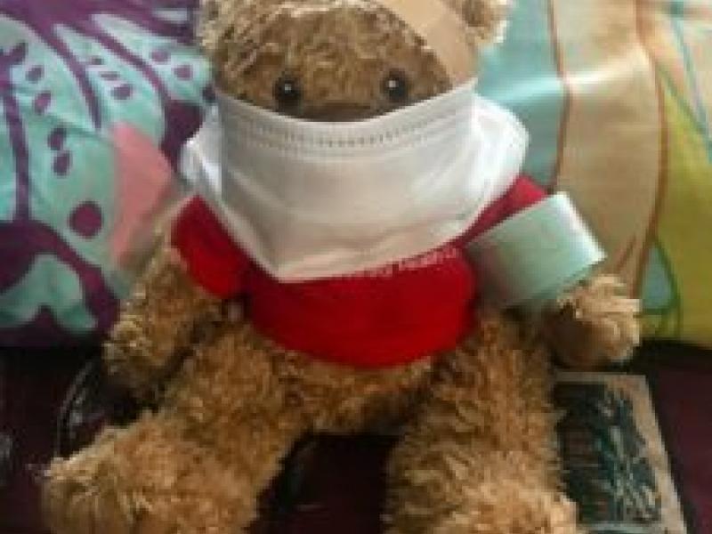 Teddy Goes to Cooper – Online!